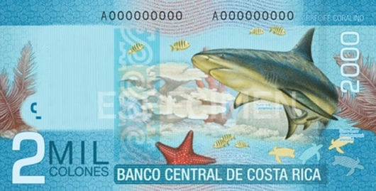 Costa Rican 2000 Colones bill showcasing Mauro Fernández Acuña and a bull shark.