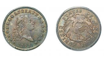 Visual of a 1795 Flowing Hair Half Dollar, emphasizing the details and the coin's historical context