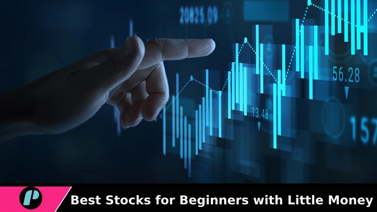 Best Stocks for Beginners with Little Money