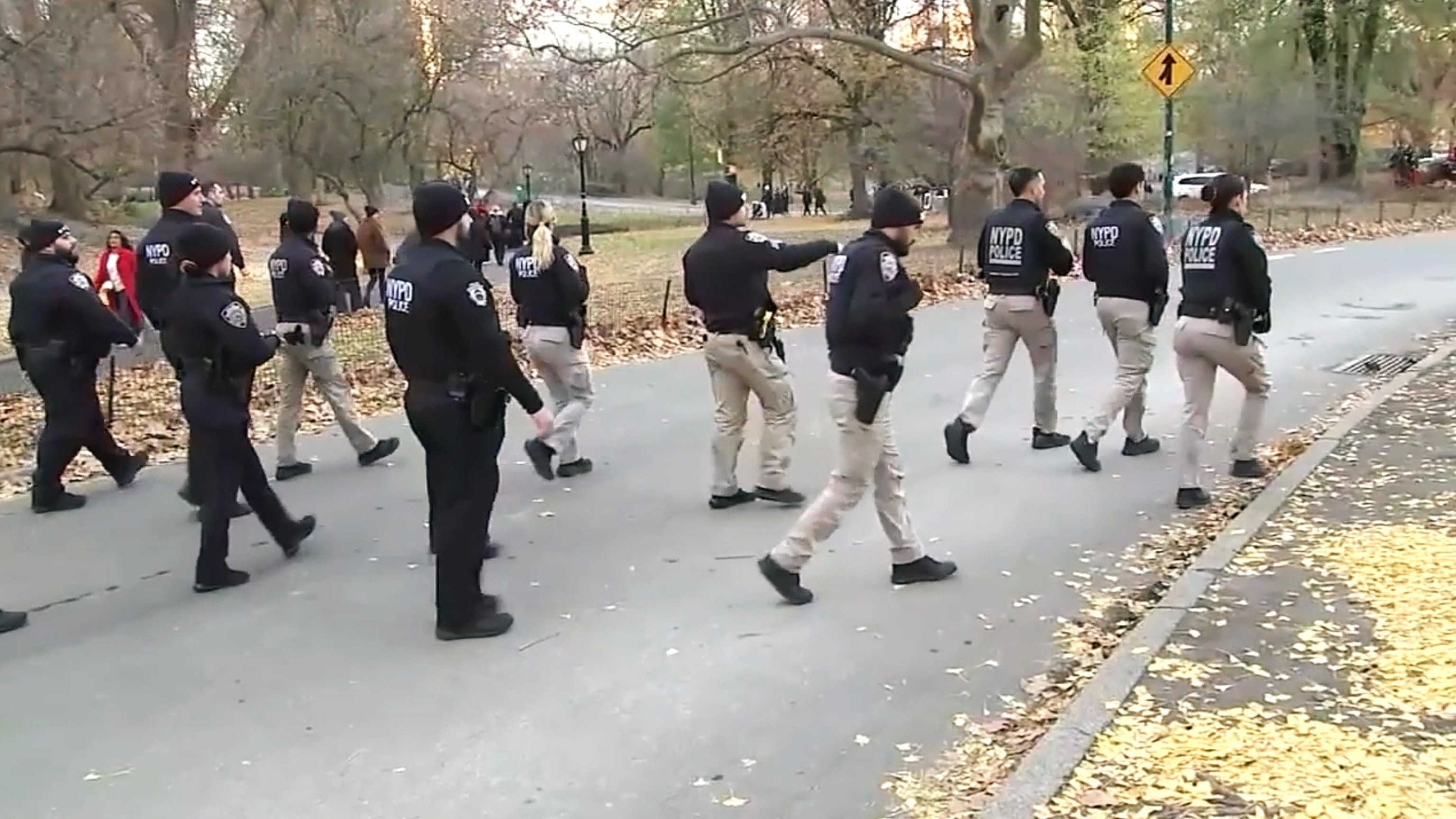 NYPD officers conducting a search in Central Park as part of the ongoing investigation into the CEO shooting.