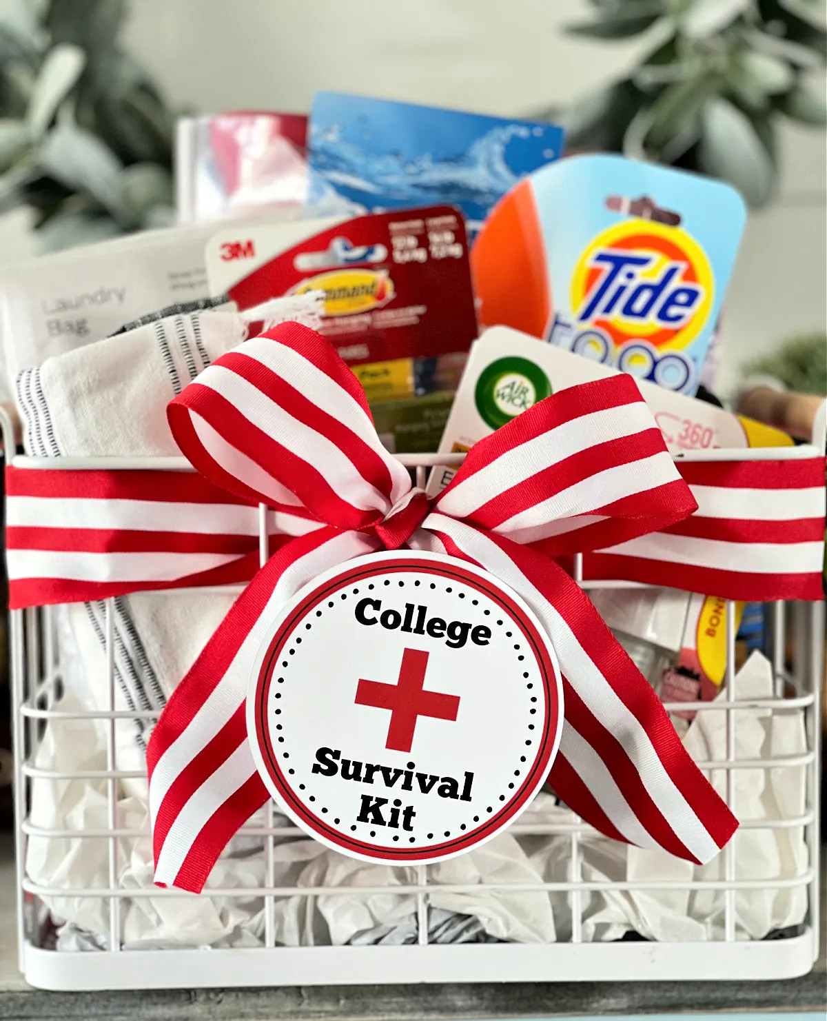 Collage Gift Basket: