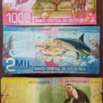 Costa Rican colones bills of various denominations and colors, showcasing the diversity of the local currency.