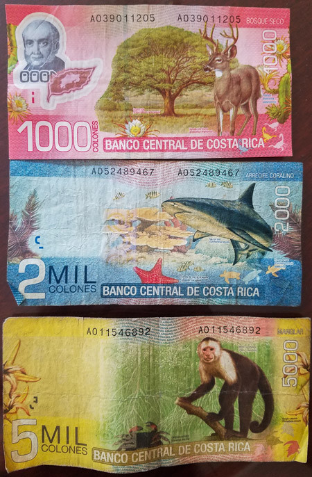 Costa Rican colones bills of various denominations and colors, showcasing the diversity of the local currency.