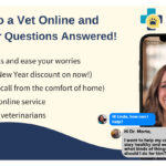 PangoVet_Catster Mention-in-Content for PangoVet V2 preventative wellness