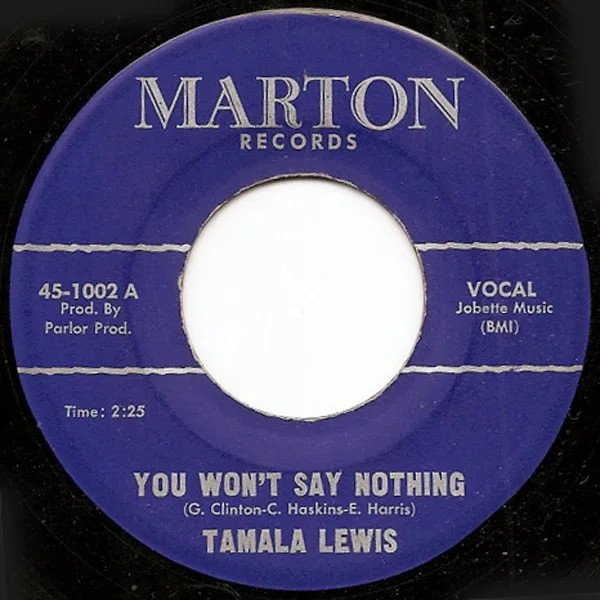 Tamala Lewis You Wont Say Nothing funk soul gem vinyl record cover