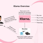 Klarna business overview showing the BNPL (Buy Now Pay Later) option