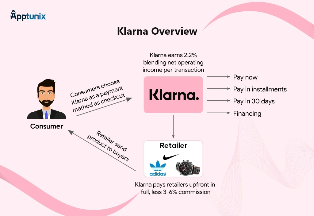 Klarna business overview showing the BNPL (Buy Now Pay Later) option