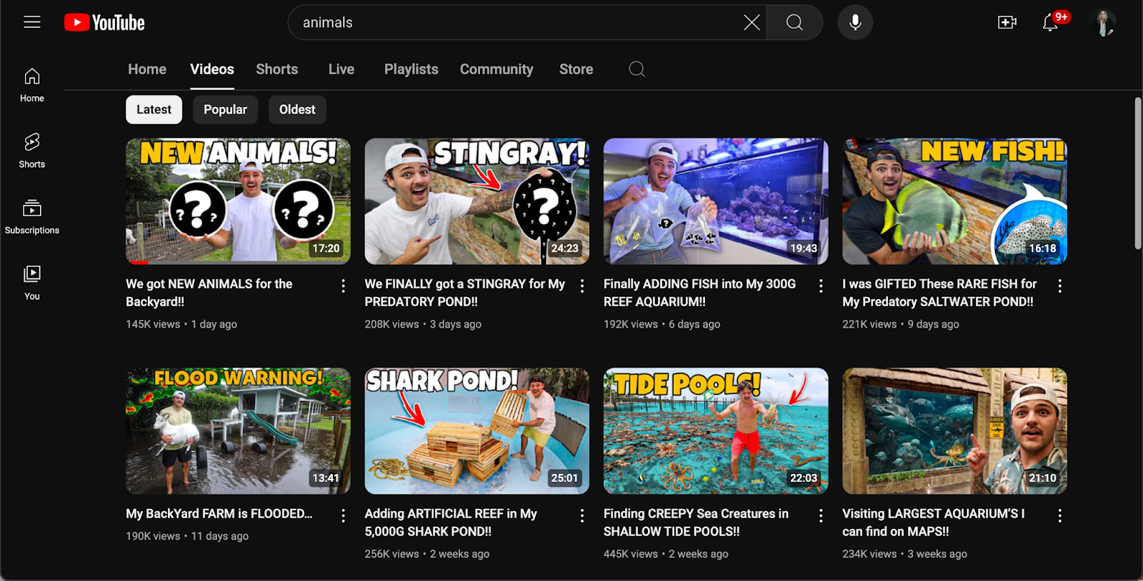 Animal and pet videos, profitable animal content