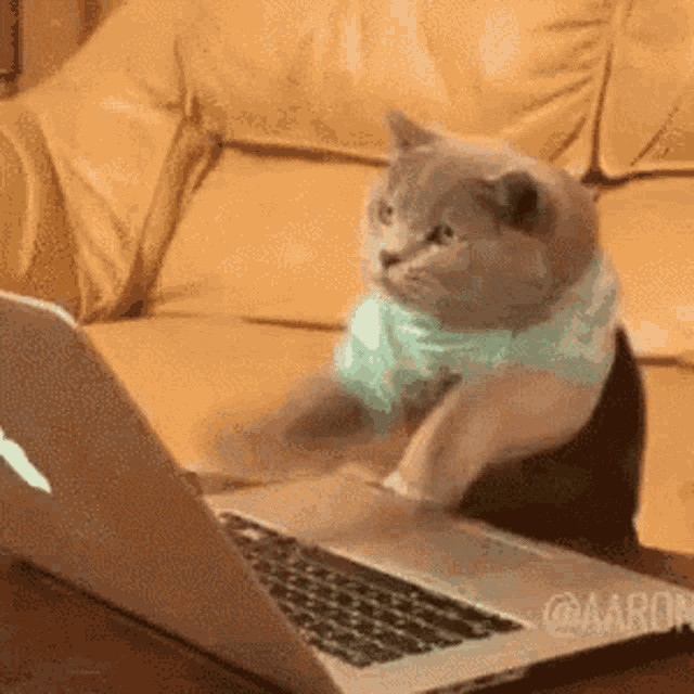 Man typing on a computer, symbolizing digital communication and fan engagement