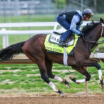 Jockey on Horseback Racing