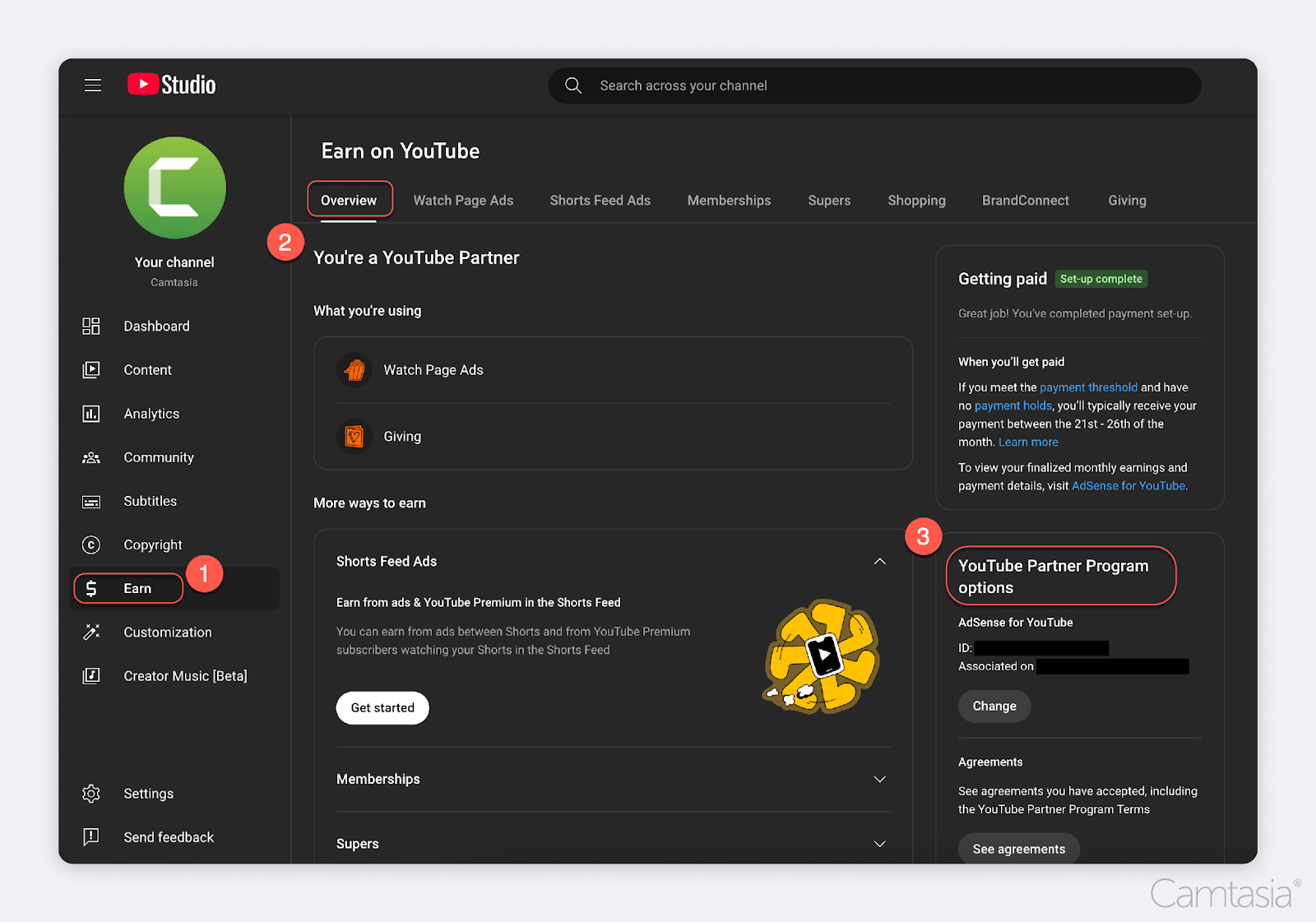 YouTube Partner Program Setup