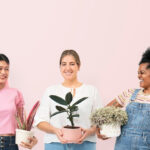 Preventing Future Debt Issues