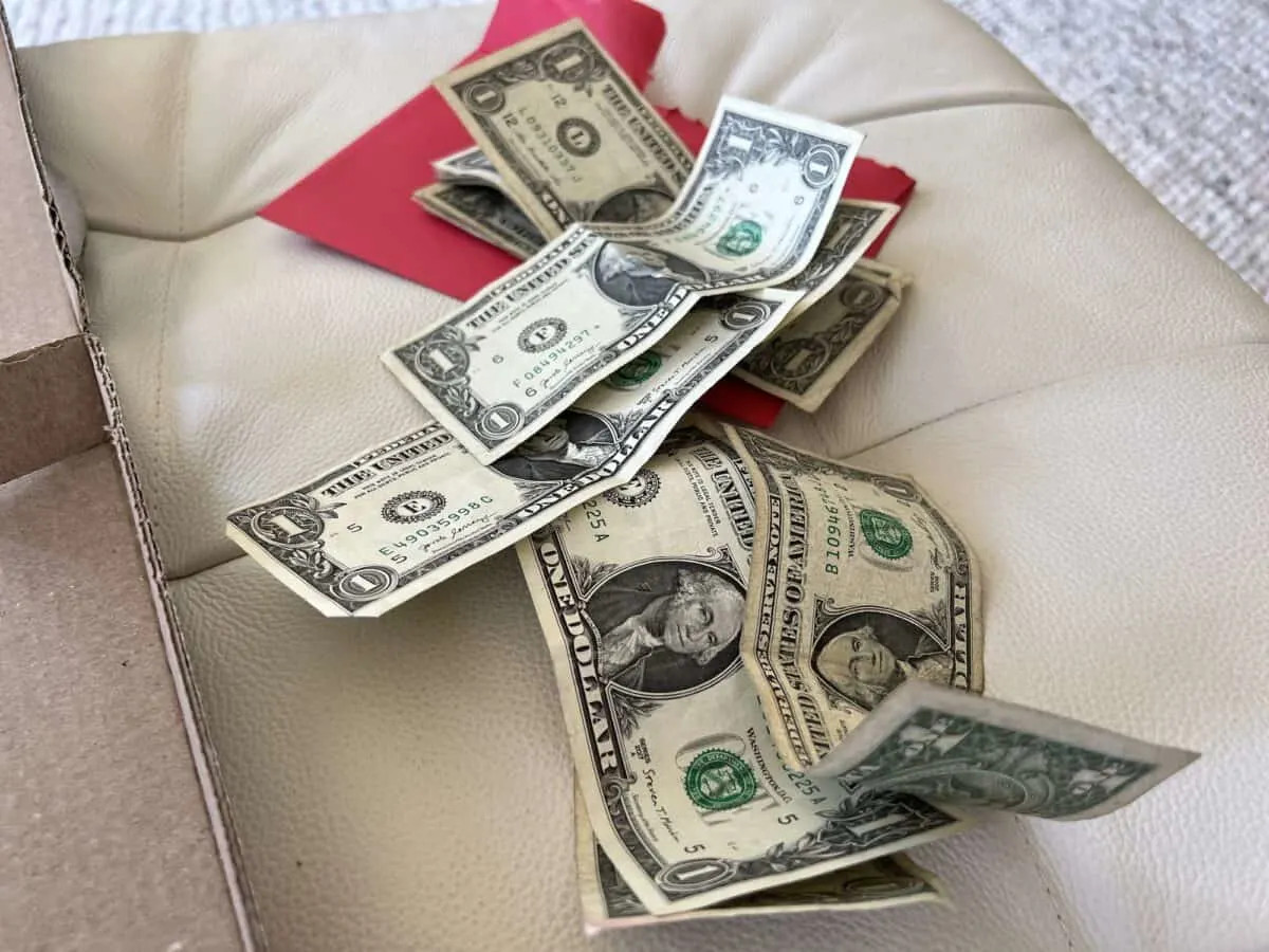 Dollar bills used to make money pizza
