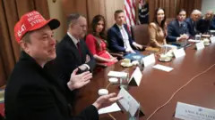 Elon Musk speaks during a cabinet meeting held by President Donald Trump at the White House.