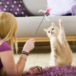 Teen girl playing with with a cat she is pet sitting.