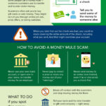 Money mule scam