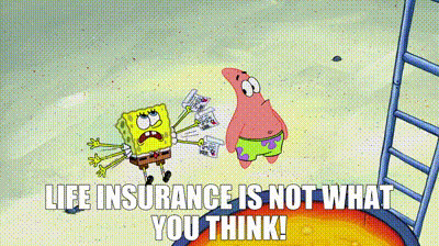 Financial illustration showing the difference between term and whole life insurance policies.