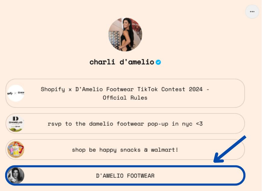TikTok Profile