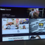 The Roku Channel