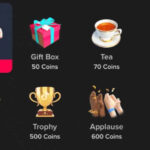 TikTok gift options