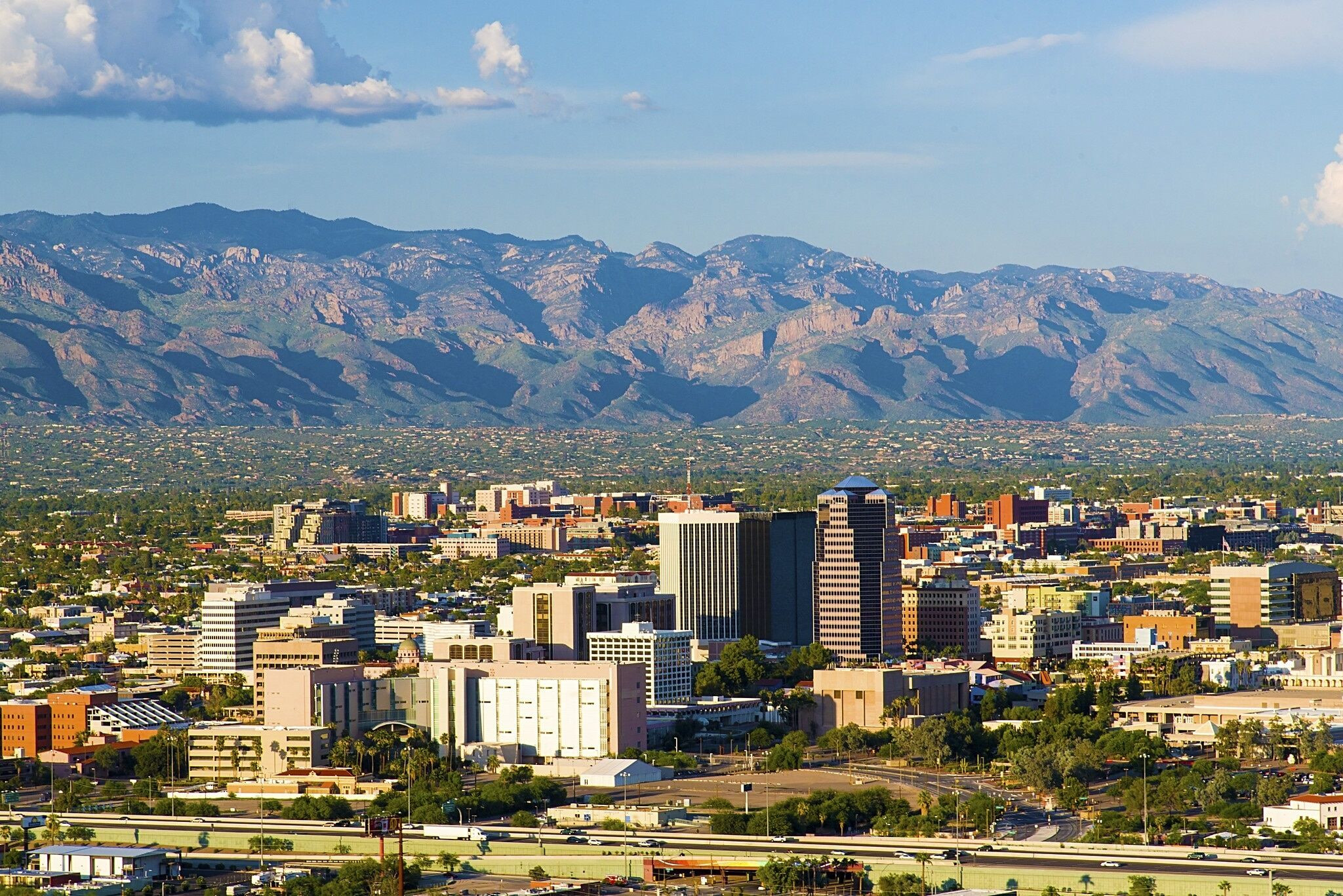 Tucson Landscape
