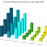 US-South-Plantation-Pine-Values