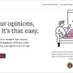 user interviews