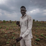 Farmer inspecting crops in South Sudan