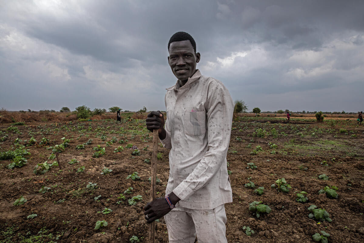 Farmer inspecting crops in South Sudan