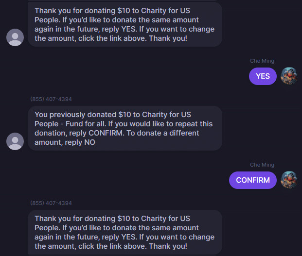Text-to-Give Example